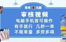 审核视频，电脑手机皆可操作，有手就行，几秒一单，不限单量，多劳多得【揭秘】