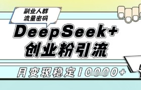 DeepSeek+创业粉精准引流，全新分享课4.0玩法，AI矩阵日引300+，多种变现方式，稳定月入1W