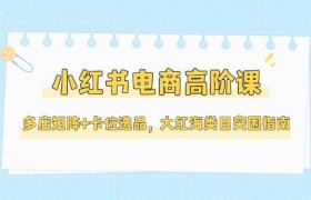 小红书电商高阶课，多店矩阵+卡位选品，大红海类目突围指南(更新5月)