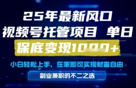 25年最新风口，视频号托管项目，单日保底变现1k+，手把手教学【揭秘】