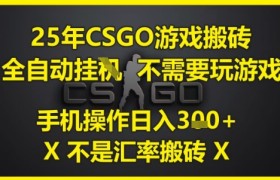 25年CSGO游戏搬砖，全自动运行，不需要玩游戏，手机操作日入3张(不是汇率搬砖)【揭秘】