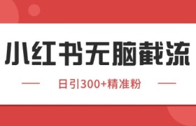 小红书截流同行客源，独家野路子获客玩法 日引200+暴力获客【揭秘】