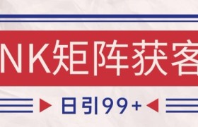 小红书某音NK赛道引流获客 自热矩阵日引200+【揭秘】